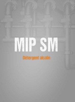 mip-sm.jpg